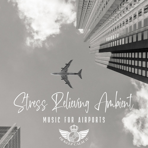 Stress Relieving Ambient Music for Airports