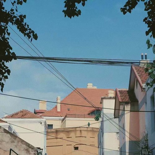 最后的时光