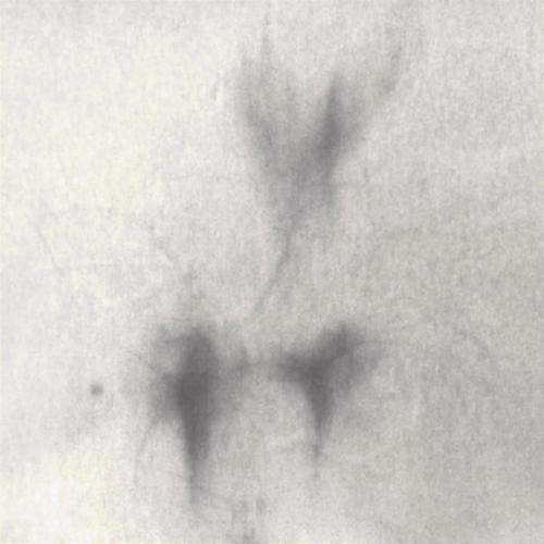 Frozen Star (Remixed)