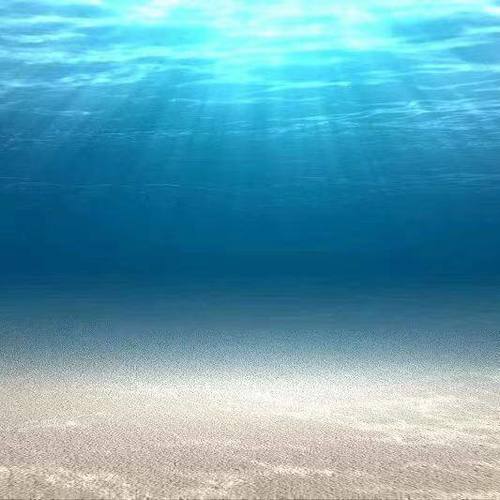 冥想训练  |  放空思绪，感受呼吸 