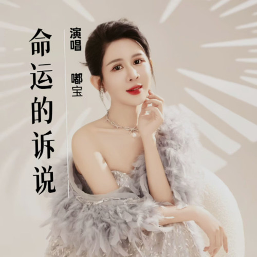 命运的诉说DJ小帽