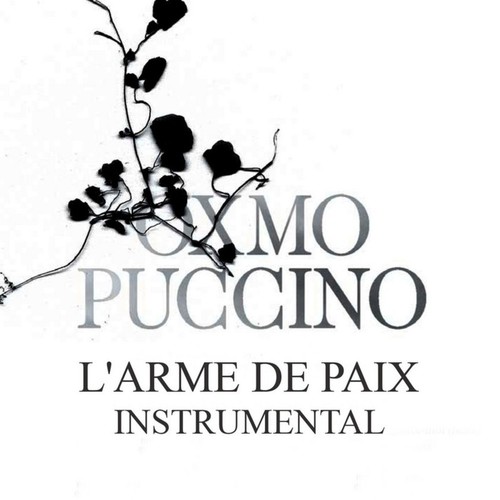 L'arme de paix (Version instrumentale)