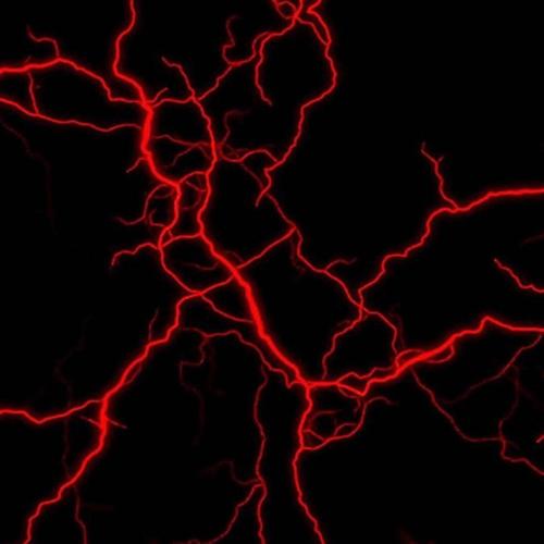 INÉDITOS (Explicit)