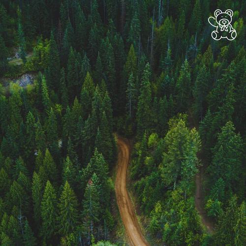 Not Alone (feat. Wilse & Wilse Inspired)