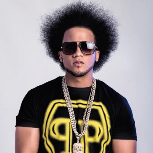 La Pongo Fina (Remix) [feat. N-Fasis, Quimico Ultramega & El Mega]