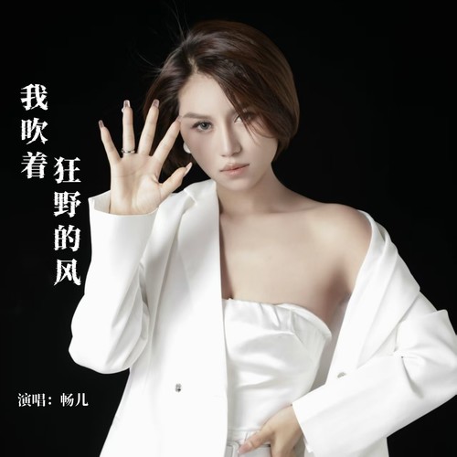 我吹着狂野的风