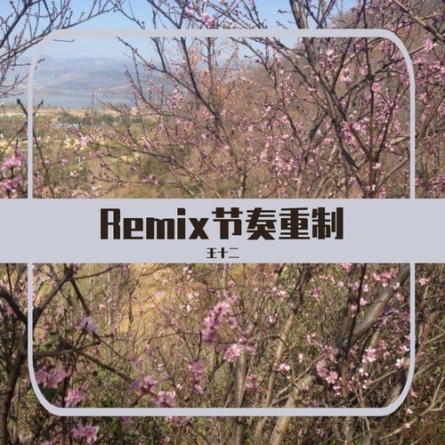 其他：Remix重制