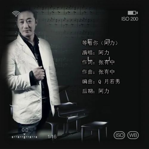 等着你（阿力版）