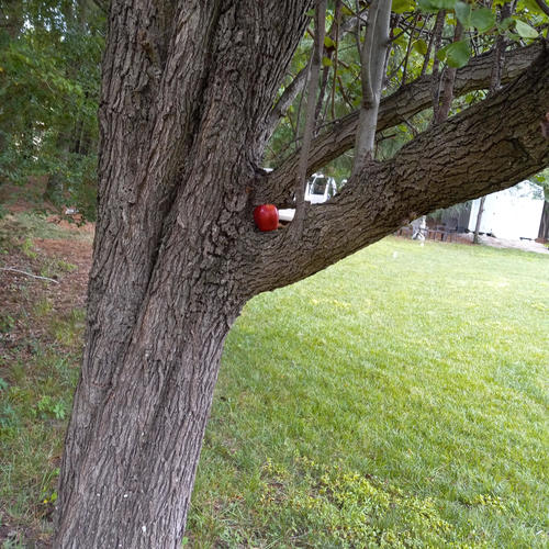 2manband (feat. luhhmiahh) [Explicit]