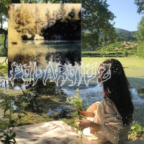 Polaroidz (Explicit)