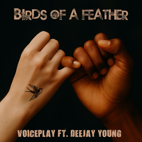 Birds of a Feather