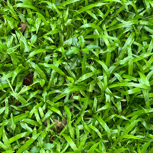 只剩孤独寂寞