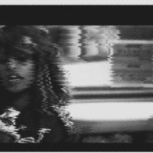 PAPER PLANES (纸飞机)