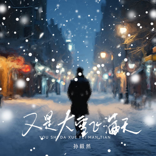 又是大雪飞满天 (今年又没挣到钱)