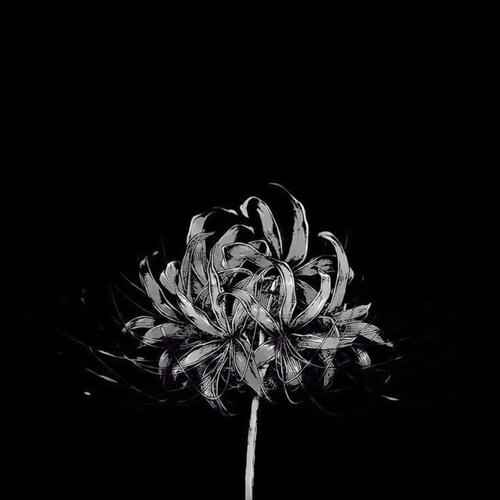 tears (feat. Vxlious)