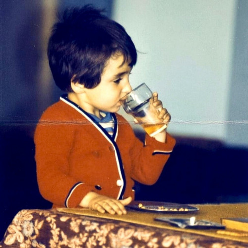 Unuttukların Orman Olsun