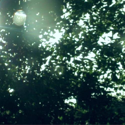 Acoustics, Vol. 2 (Explicit)