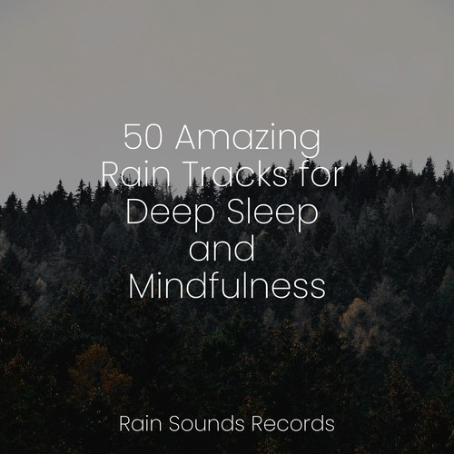 50 Amazing Rain Tracks for Deep Sleep and Mindfulness