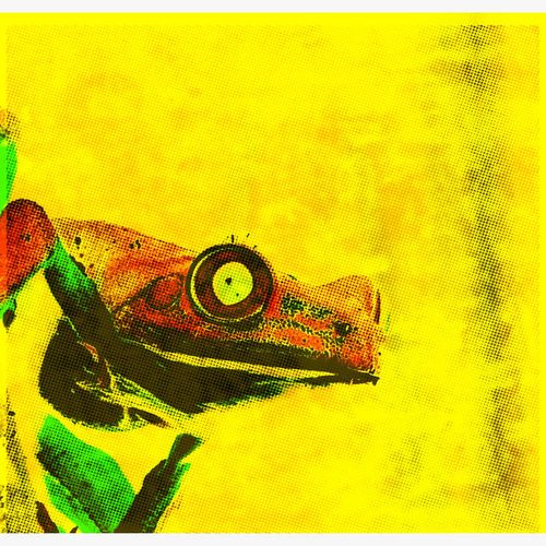 Amber Strength