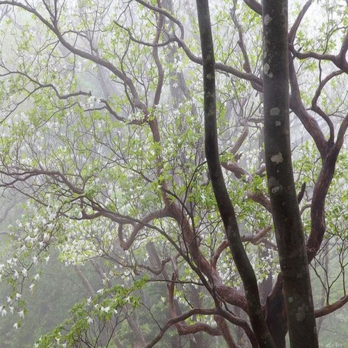 why do u think that im so perfect (feat. yungtungsten & scrap) [Explicit]