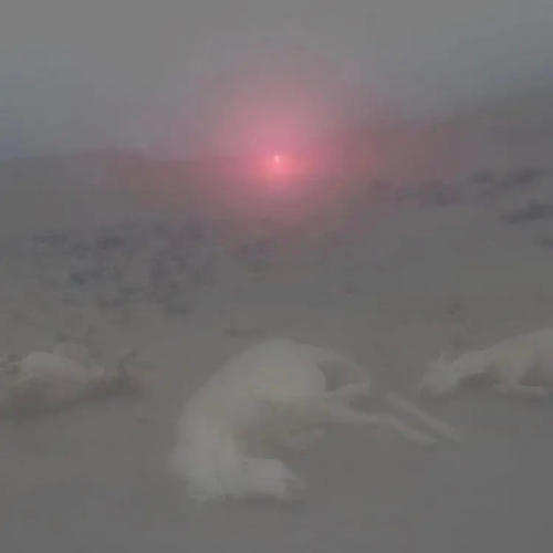 what i want (Explicit)