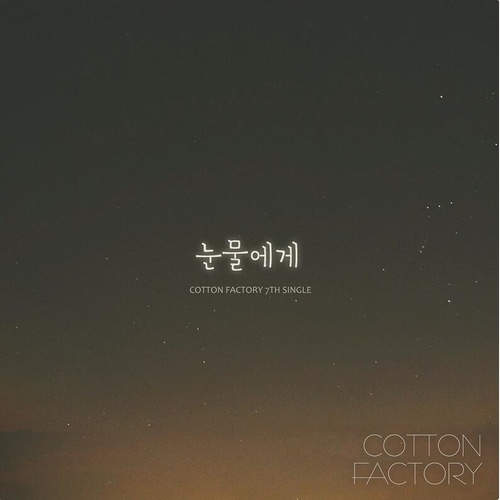 눈물에게 (致眼泪)