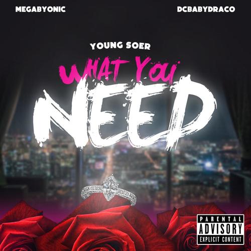 What You Need (feat. Megabyonic & Dc Babydraco) [Explicit]