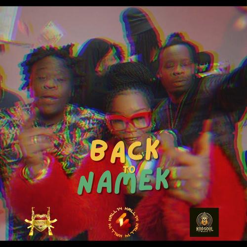 Back To Namek (The Meddley) (feat. Royalty, Lamooms & Oblik) [Explicit]