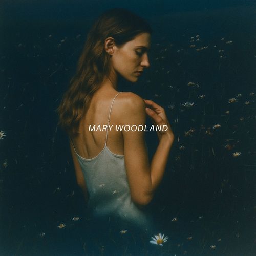 Root Pulse SoundField