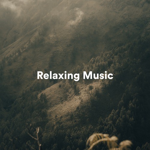 Relaxing Music
