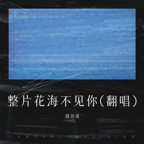 整片花海不见你 立体