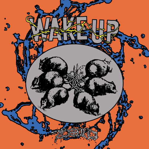 Wake Up