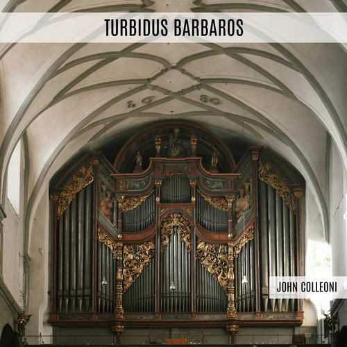 Turbidus Barbaros