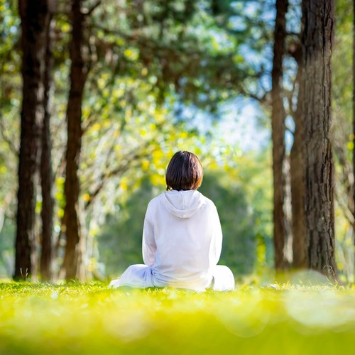 Calming Meditation: Music for the Soul