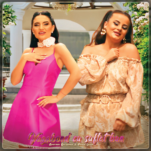 Vagabond Cu Suflet Bun