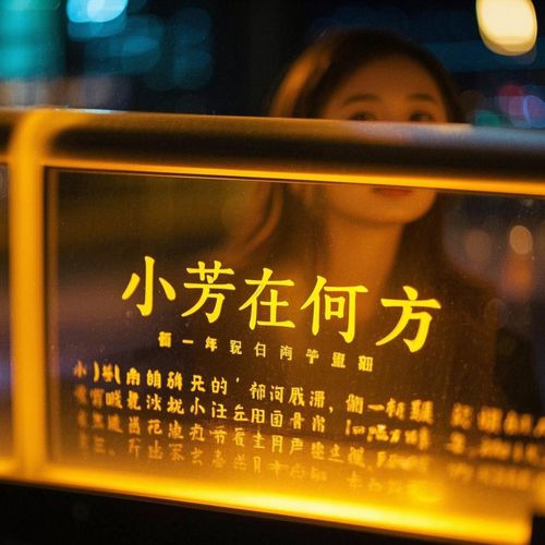 小芳你在何方