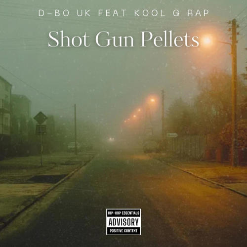 Shot Gun Pellets (History) (feat. Kool G Rap) [Explicit]