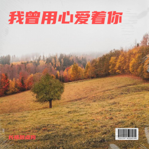 我曾用心爱着你