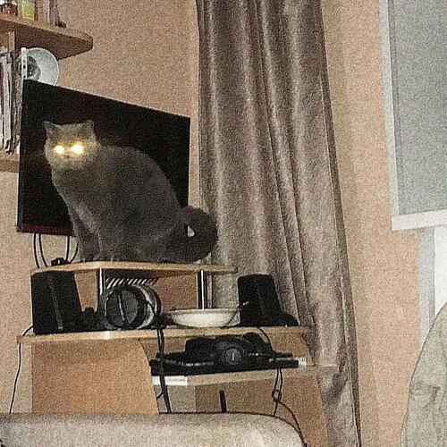 hashtag I'm ****ed (Explicit)