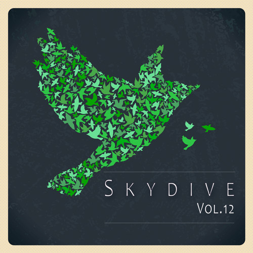 Skydive, Vol. 12
