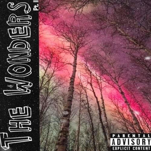 The Wonders Pt.II (feat. OyVay) [Explicit]