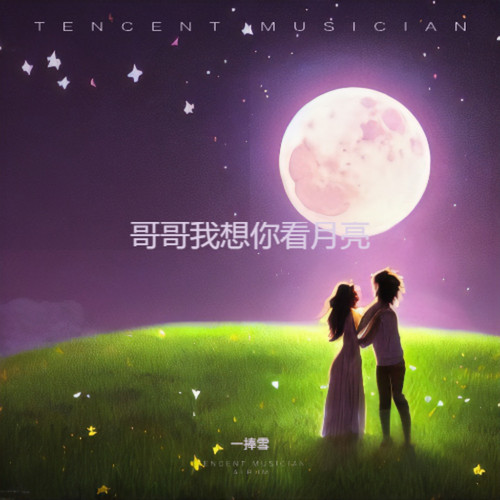 哥哥我想你看月亮
