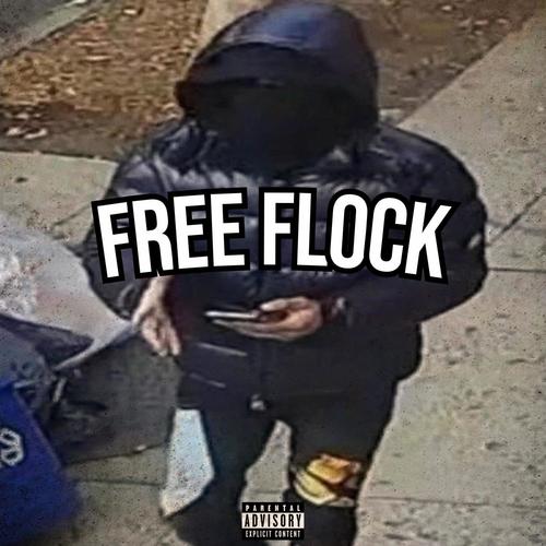 FREE FLOCK (feat. Dougie) [Explicit]