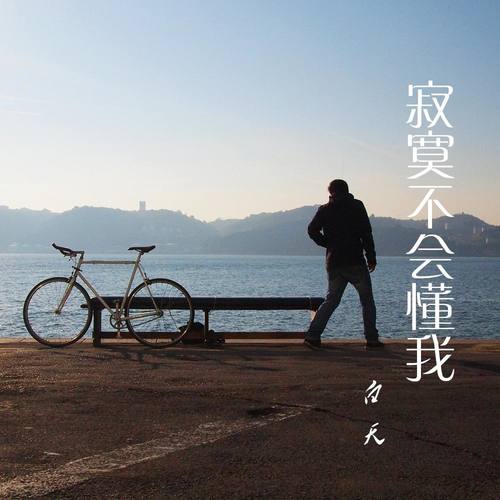 寂寞不会懂我