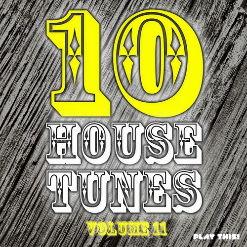 10 House Tunes, Vol. 11