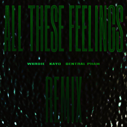 All These Feelings Remix (Explicit)