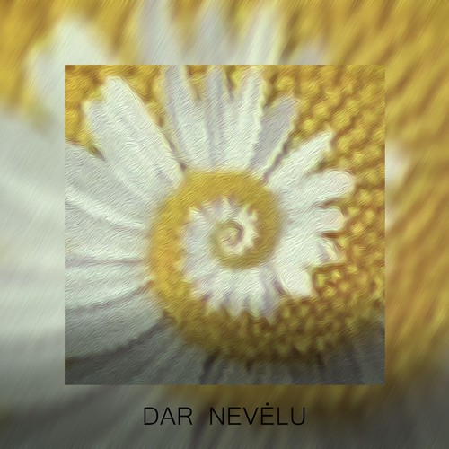 DAR NEVĖLU