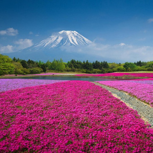 5月-薫りの風 (Original Mix)