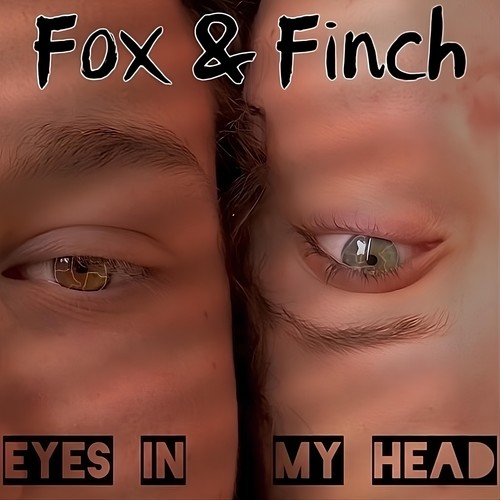 Eyes in My Head