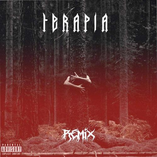 TERAPIA (feat. duk & kanar) [REMIX] [Explicit]